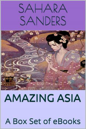 bigCover of the book Amazing Asia: A Box Set Of EBooks by 