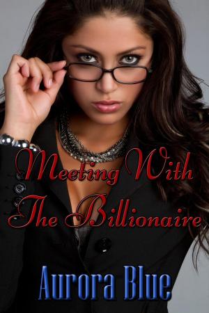 Cover of the book Meeting With The Billionaire by Sandra Fitzgerald