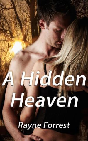 Book cover of A Hidden Heaven
