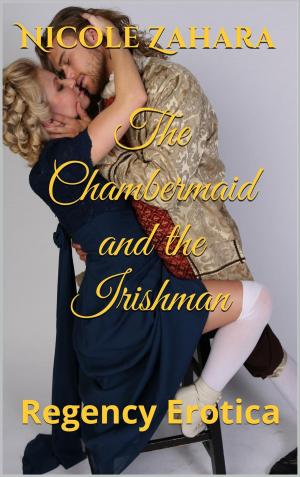 Cover of the book The Chambermaid and the Irishman by Kim Lawrence