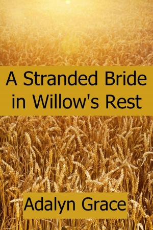 Cover of the book A Stranded Bride in Willow's Rest by André Laurie, Léon Benett