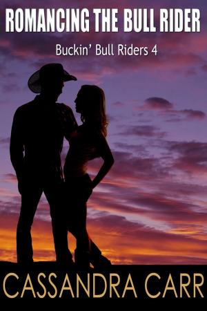 bigCover of the book Romancing the Bull Rider by 