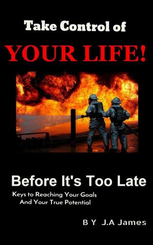 Cover of the book Take Control of Your Life by Joanna Jast