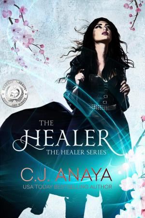 Cover of the book The Healer by Christie Palmer