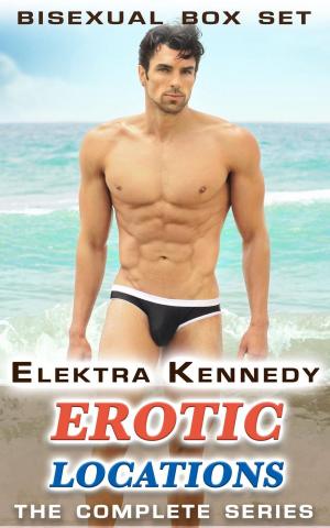 Book cover of Erotic Locations: The Complete Series