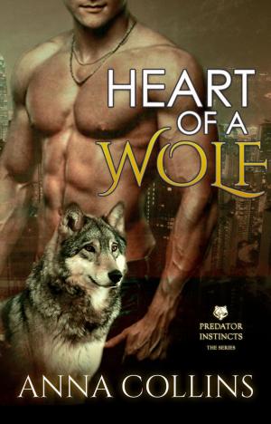 Book cover of Werewolf Romance