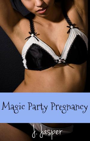 Book cover of Magic Party Pregnancy