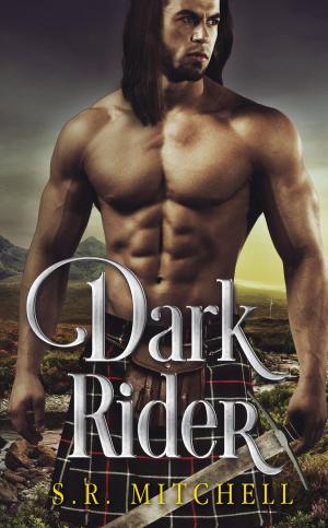 Book cover of Dark Rider