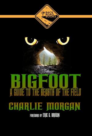 Book cover of Bigfoot: A Guide To The Beasts Of The Field