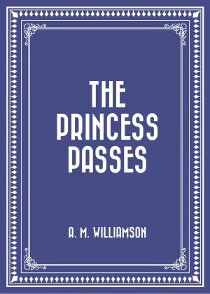 Cover of the book The Princess Passes by Charles Spurgeon