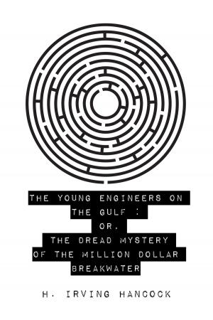 Cover of the book The Young Engineers on the Gulf : Or, The Dread Mystery of the Million Dollar Breakwater by General Merrill A. McPeak