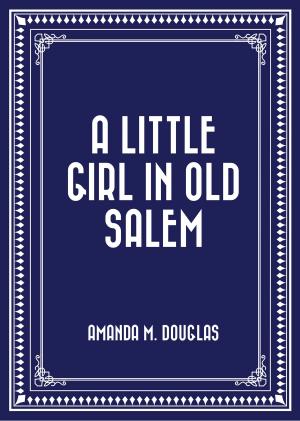 Cover of the book A Little Girl in Old Salem by Frederick Marryat
