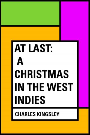 Book cover of At Last: A Christmas in the West Indies