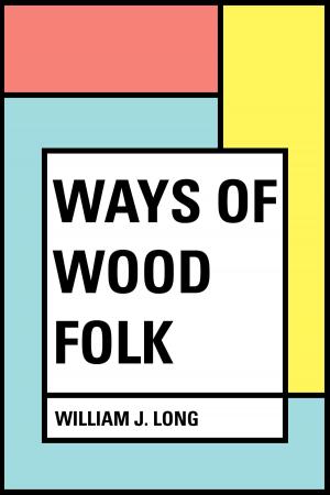 Cover of the book Ways of Wood Folk by Edgar Allan Poe