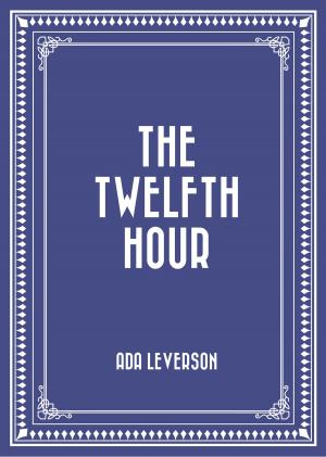 Cover of the book The Twelfth Hour by Emerson Hough