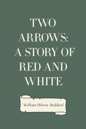 Book cover of Two Arrows: A Story of Red and White