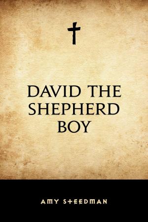 Cover of the book David the Shepherd Boy by Edgar Allan Poe