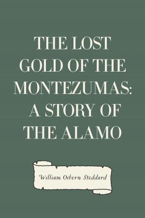 Book cover of The Lost Gold of the Montezumas: A Story of the Alamo