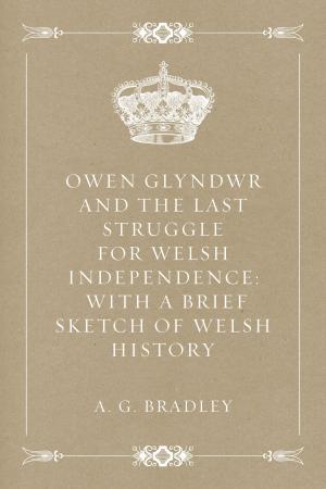 bigCover of the book Owen Glyndwr and the Last Struggle for Welsh Independence: With a Brief Sketch of Welsh History by 