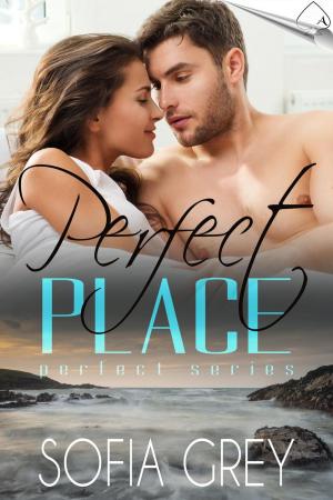 Cover of the book Perfect Place by Kiernan Kelly