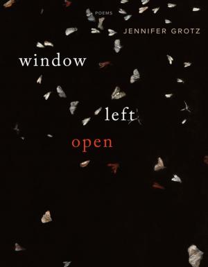 Cover of the book Window Left Open by Binyavanga Wainaina