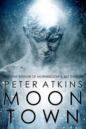 bigCover of the book Moontown by 