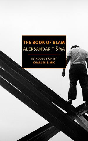 Cover of the book The Book of Blam by Alexander Vvedensky