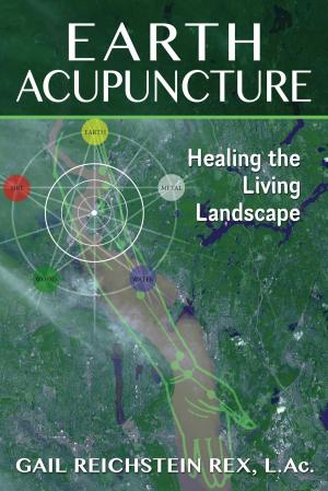 Book cover of Earth Acupuncture