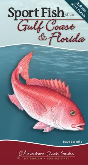 Cover of the book Sport Fish of the Gulf Coast & Florida by Captain Richard Metz