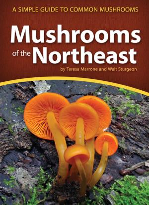 Cover of the book Mushrooms of the Northeast by Stan Tekiela
