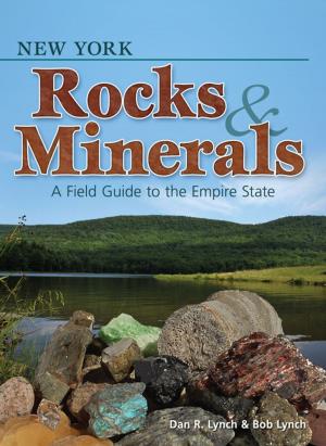 Book cover of New York Rocks & Minerals