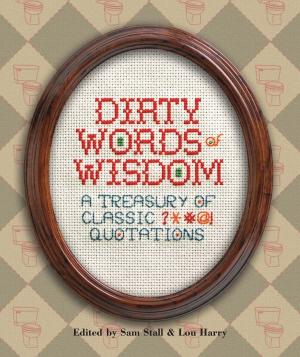 Cover of the book Dirty Words of Wisdom by Elizabeth Lunday