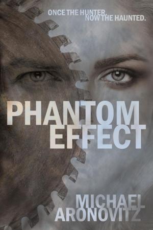 Cover of the book Phantom Effect by Pete Rawlik