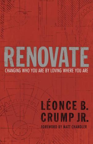 Cover of the book Renovate by Meg Moseley