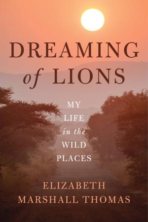 bigCover of the book Dreaming of Lions by 
