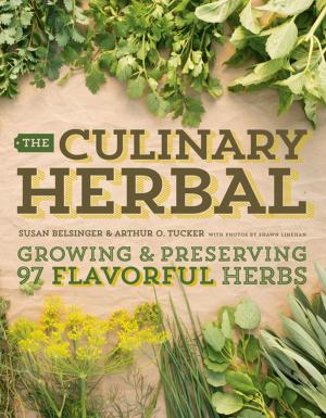 Cover of the book The Culinary Herbal by Alan L. Detrick