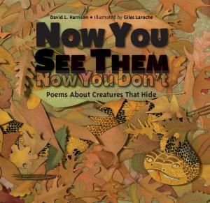 Book cover of Now You See Them, Now You Don't
