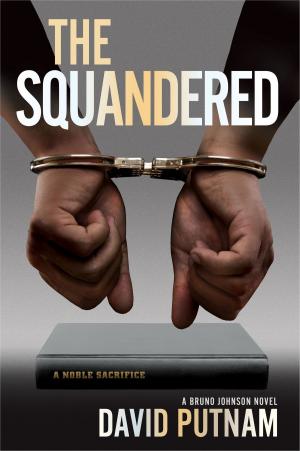 bigCover of the book The Squandered by 