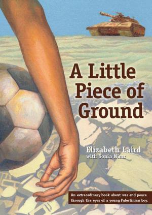 Cover of the book A Little Piece of Ground by Jeffery R. Webber