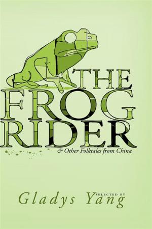 Book cover of The Frog Rider and Other Folktales from China