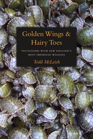 Cover of the book Golden Wings & Hairy Toes by Edna Edith Sayers