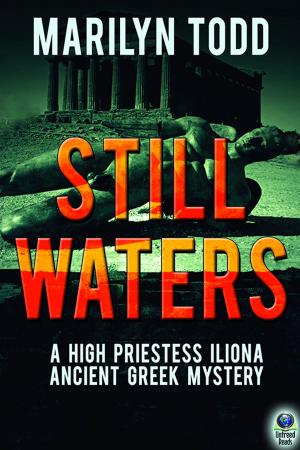 Cover of the book Still Waters by Kathi Kamen Goldmark