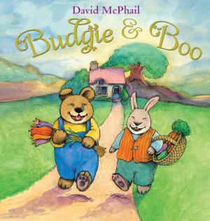 Cover of the book Budgie & Boo by Kristine A. Lombardi