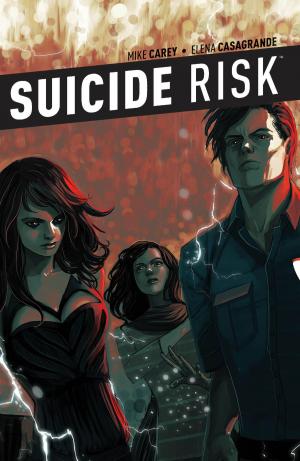Cover of the book Suicide Risk Vol. 6 by Steve Jackson, Thomas Siddell, Jim Zub