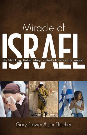 Cover of the book Miracle of Israel by Israel Wayne