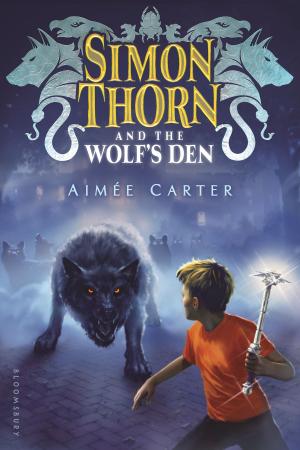 Cover of the book Simon Thorn and the Wolf's Den by Marian E Keen