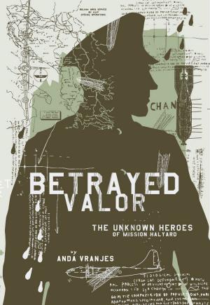 Cover of the book Betrayed Valor by Ted Bross