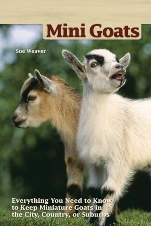 Cover of the book Mini Goats by Donna Anastasi