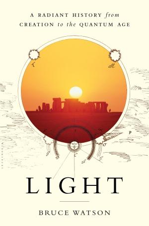 Cover of the book Light by Ali Bilgic