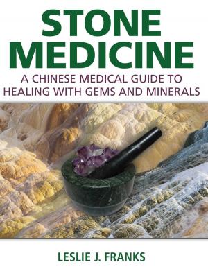 bigCover of the book Stone Medicine by 